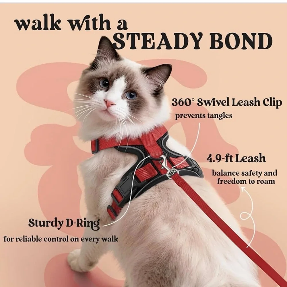 NWT: Cat Harness